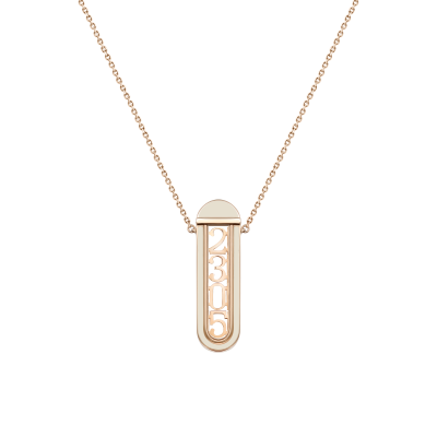 N06-TC-013-1 Колье-трансформер (585)